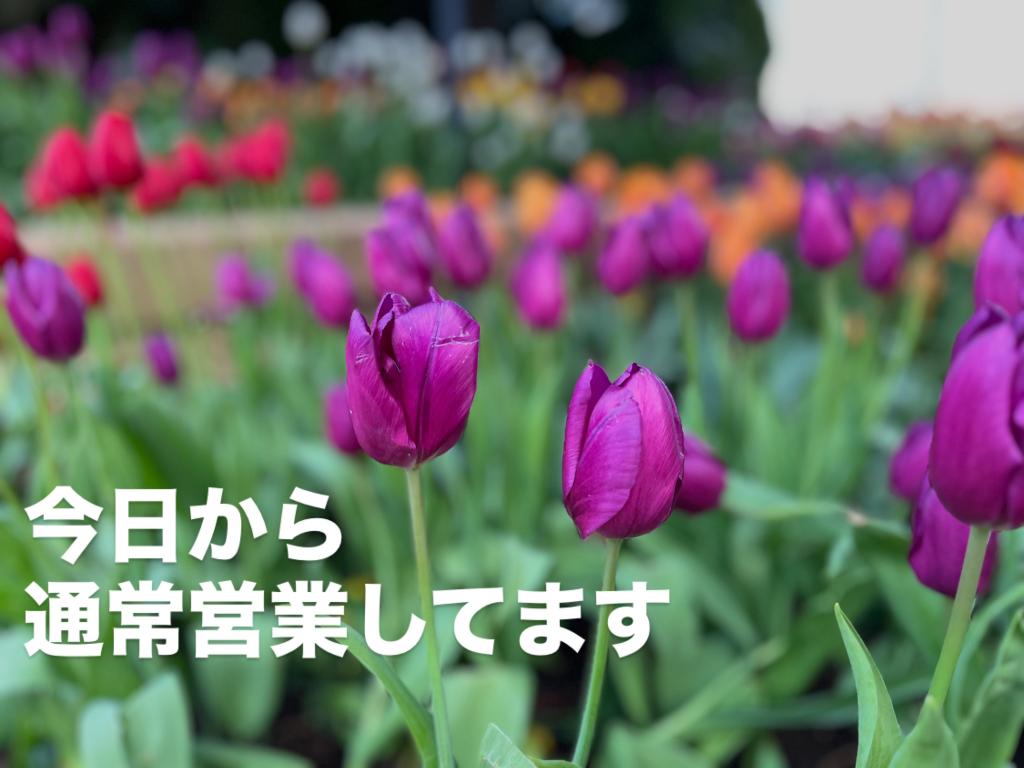 今日から営業しておりまう。